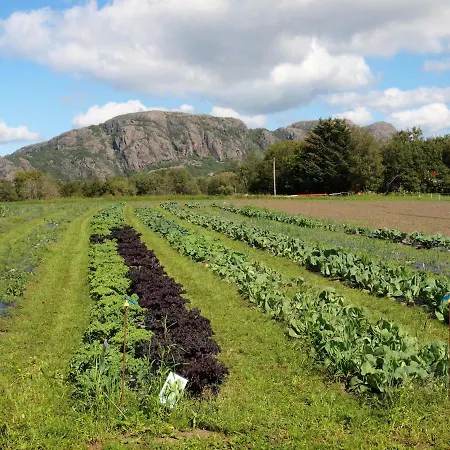 Karstua - Casa de Férias *