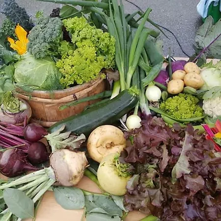 Karstua - Casa de Férias Austratt