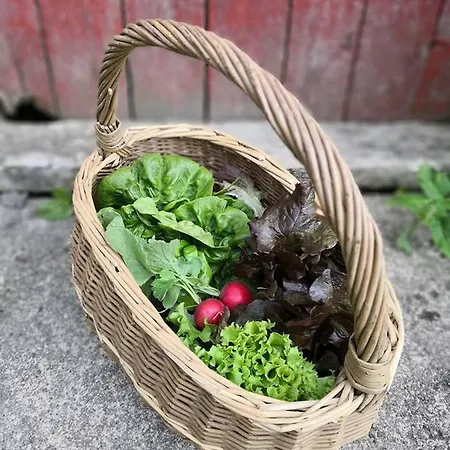 Karstua - Feriehus *